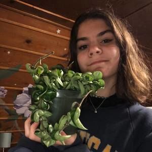 Meet your Posher, Anna